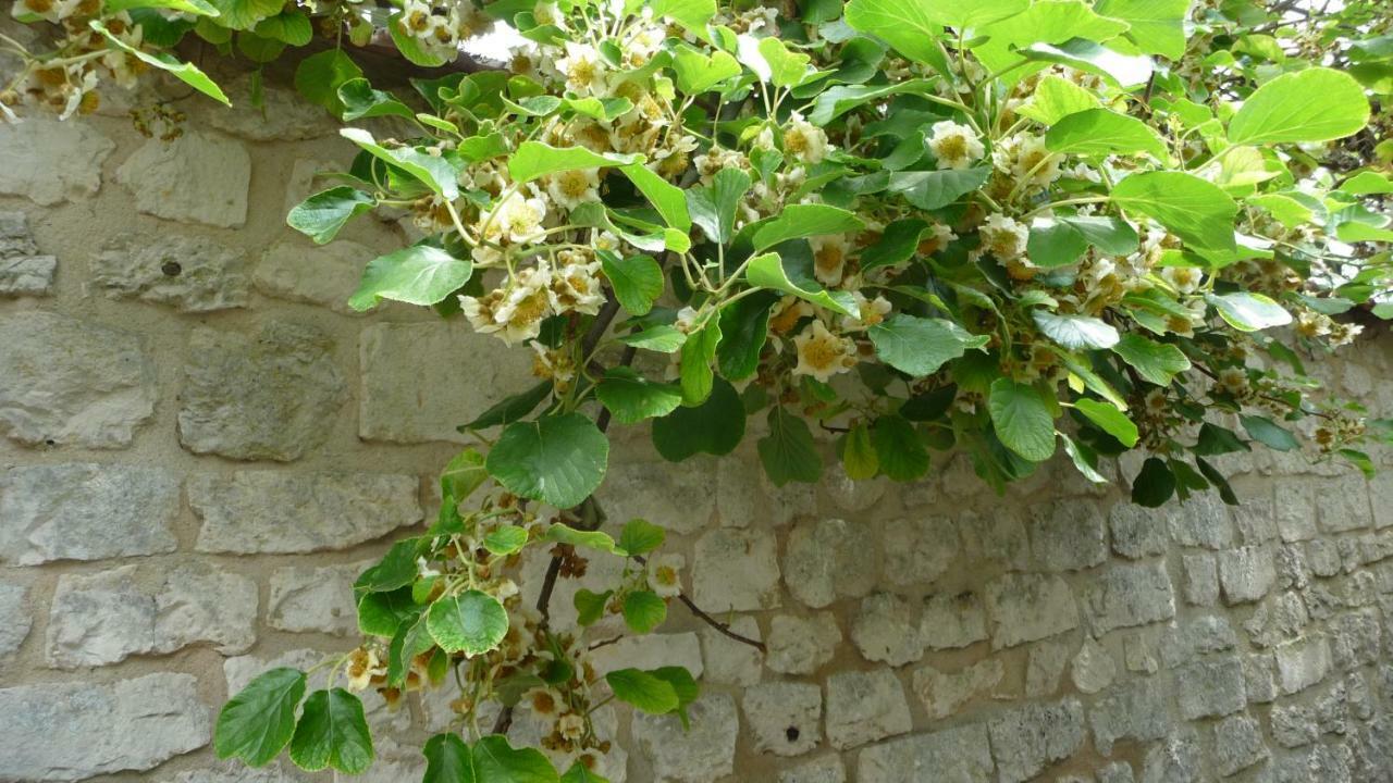 Maison D'Hotes Les Coquelicots Ζιβερνί Εξωτερικό φωτογραφία